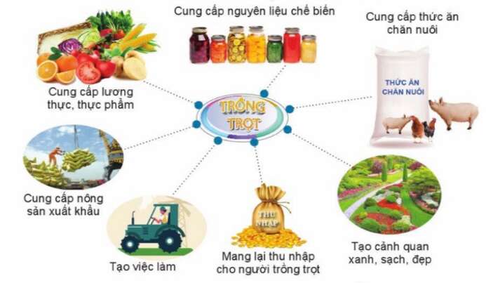 Công nghệ 10 Bài 1: Trồng trọt trong bối cảnh cuộc cách mạng công nghiệp 4.0 | Cánh diều (ảnh 2)