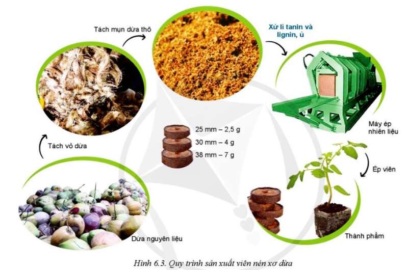 Công nghệ 10 Bài 6: Ứng dụng công nghệ cao trong sản xuất một số giá thể trồng cây | Cánh diều (ảnh 2)