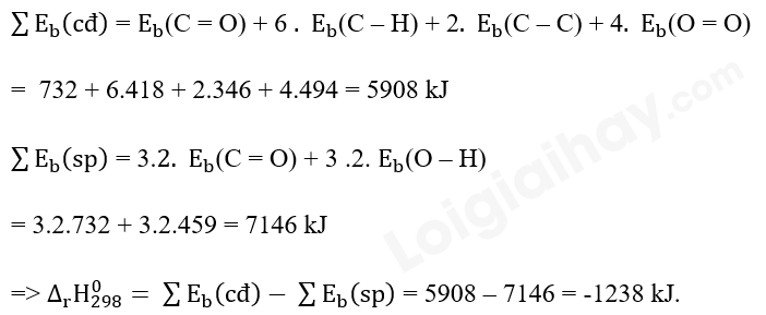  (ảnh 12)