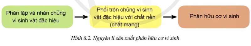 Công nghệ 10 Bài 8: Ứng dụng công nghệ hiện đại trong sản xuất phân bón | Cánh diều (ảnh 2)