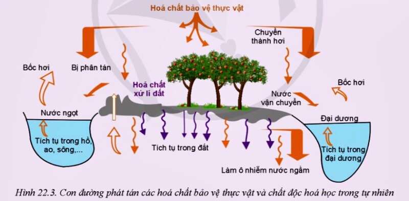 Công nghệ 10 Bài 22: Những vấn đề chung về bảo vệ môi trường trong trồng trọt | Cánh diều (ảnh 2)