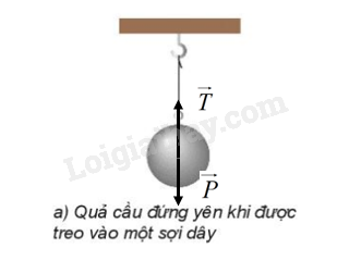 Vật Lí 10 Bài 14: Định luật 1 Newton | Giải Lí 10 Kết nối tri thức (ảnh 2)