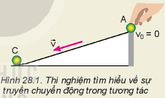 Vật Lí 10 Bài 28: Động lượng | Giải Lí 10 Kết nối tri thức (ảnh 2)