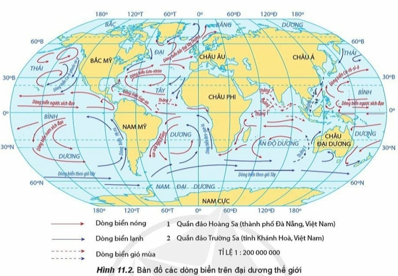 Địa Lí 10 Bài 11: Nước biển và đại dương | Cánh diều (ảnh 2)