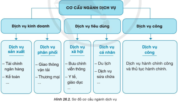 Địa Lí 10 Bài 26: Vai trò, đặc điểm, cơ cấu, các nhân tố ảnh hưởng đến sự phát triển và phân bố dịch vụ | Cánh diều (ảnh 2)