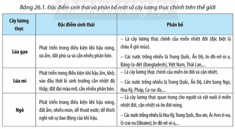 Địa Lí 10 Bài 26: Địa lí các ngành nông nghiệp, lâm nghiệp, thủy sản | Chân trời sáng tạo (ảnh 2)