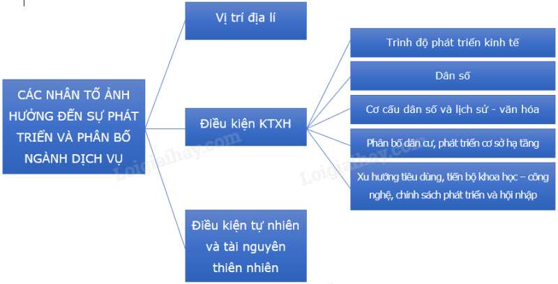 Địa Lí 10 Bài 33: Cơ cấu, vai trò, đặc điểm và các nhân tố ảnh hưởng đến sự phát triển, phân bố dịch vụ | Chân trời sáng tạo (ảnh 2)