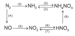 Chuyên đề Axit nitric và muối nitrat 2022 hay, chọn lọc (ảnh 1)