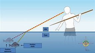 Lý thuyết Vật Lí 10 Bài 1: Làm quen với Vật lí - Kết nối tri thức (ảnh 1)