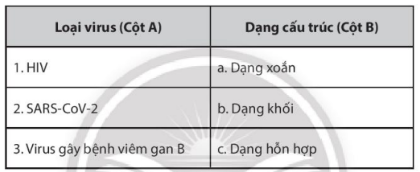 Giải Sách bài tập Sinh học 10 trang 89 - Chân trời sáng tạo (ảnh 1)