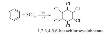  (ảnh 6)