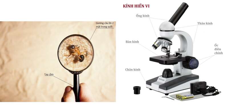 Lý thuyết Sinh học 10 Bài 2 (Cánh diều): Các phương pháp nghiên cứu và học tập môn sinh học (ảnh 6)