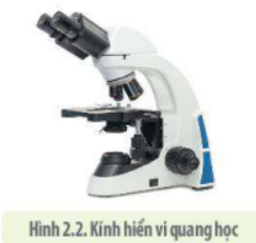 Lý thuyết Sinh học 10 Bài 2 (Kết nối tri thức): Phương pháp nghiên cứu và học tập môn Sinh học (ảnh 3)