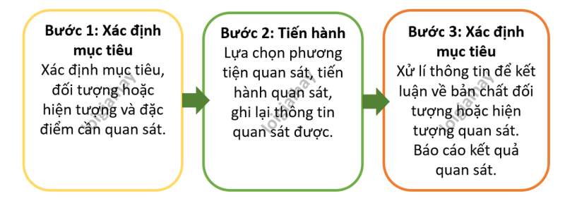 Lý thuyết Sinh học 10 Bài 2 (Chân trời sáng tạo): Các phương pháp nghiên cứu và học tập môn Sinh học (ảnh 1)