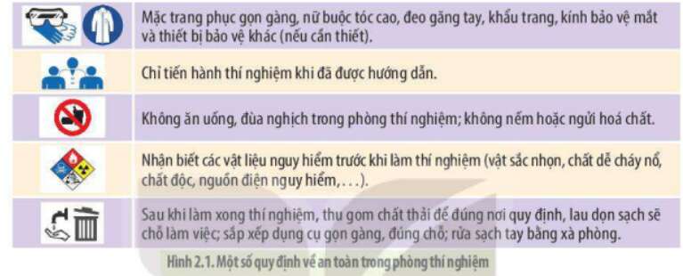 Lý thuyết Sinh học 10 Bài 2 (Kết nối tri thức): Phương pháp nghiên cứu và học tập môn Sinh học (ảnh 1)