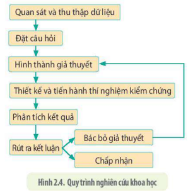 Lý thuyết Sinh học 10 Bài 2 (Kết nối tri thức): Phương pháp nghiên cứu và học tập môn Sinh học (ảnh 5)