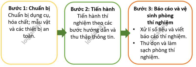 Lý thuyết Sinh học 10 Bài 2 (Cánh diều): Các phương pháp nghiên cứu và học tập môn sinh học (ảnh 2)