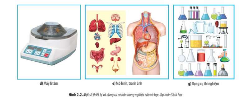 Lý thuyết Sinh học 10 Bài 2 (Chân trời sáng tạo): Các phương pháp nghiên cứu và học tập môn Sinh học (ảnh 4)