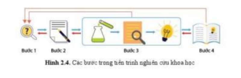 Lý thuyết Sinh học 10 Bài 2 (Cánh diều): Các phương pháp nghiên cứu và học tập môn sinh học (ảnh 4)