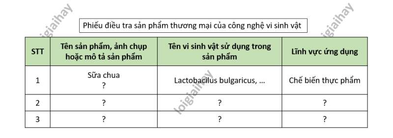 Lý thuyết Sinh học 10 Bài 20 (Cánh diều): Thành tựu của công nghệ vi sinh vật và ứng dụng của vi sinh vật (ảnh 9)