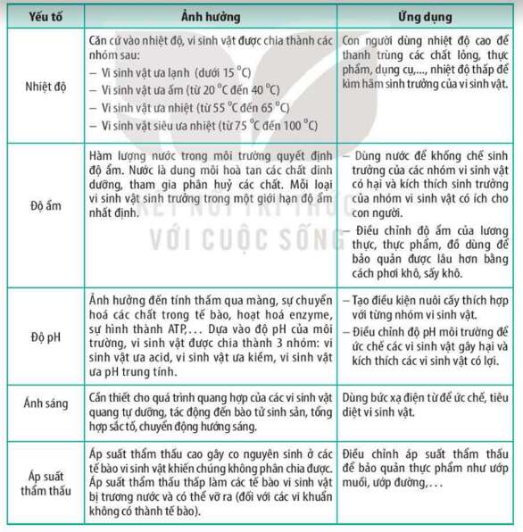 Lý thuyết Sinh học 10 Bài 18 (Cánh diều): Sinh trưởng và sinh sản ở vi sinh vật (ảnh 8)