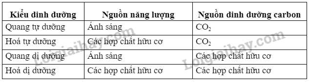 Sinh học 10 Bài 22: Khái quát về vi sinh vật | Giải Sinh 10 Chân trời sáng tạo (ảnh 4)