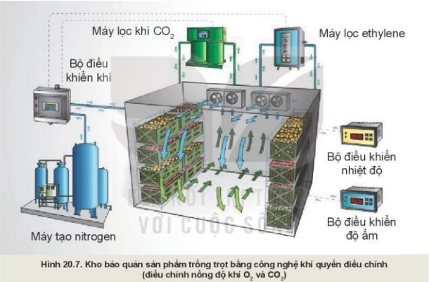 Lý thuyết Công Nghệ 10 Bài 20: Công nghệ cao trong thu hoạch và bảo quản sản phẩm trồng trọt - Kết nối tri thức (ảnh 1)