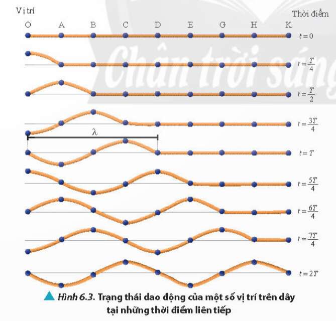 Lý thuyết Các đặc trưng vật lí của sóng (Chân trời sáng tạo 2023) hay, chi tiết | Vật Lí 11 (ảnh 1)