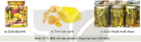 Lý thuyết Công Nghệ 10 Bài 21: Chế biến sản phẩm trồng trọt - Kết nối tri thức (ảnh 1)