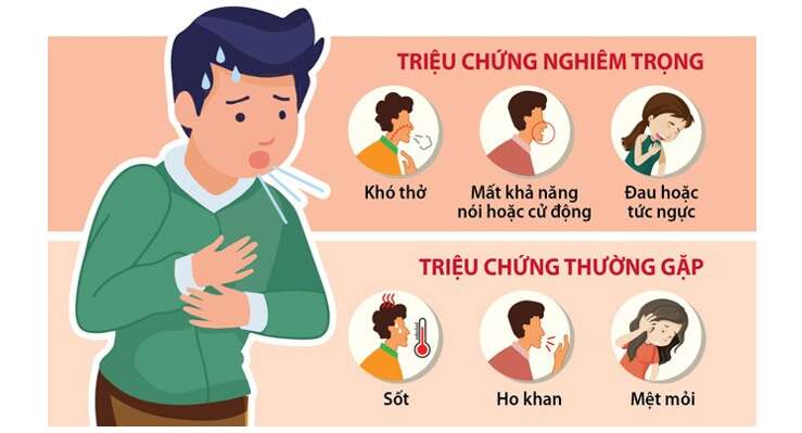 Lý thuyết Sinh học 10 Bài 25 (Kết nối tri thức): Một số bệnh do virus và các thành tựu nghiên cứu ứng dụng virus (ảnh 14)