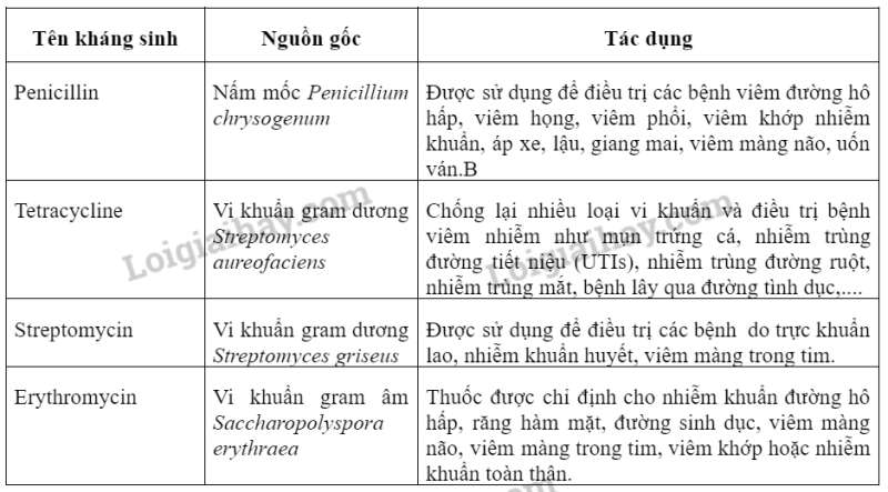 Sinh học 10 Bài 26: Công nghệ vi sinh vật | Giải Sinh 10 Chân trời sáng tạo (ảnh 1)