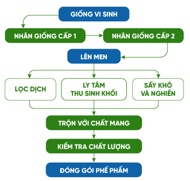 Sinh học 10 Bài 26: Công nghệ vi sinh vật | Giải Sinh 10 Chân trời sáng tạo (ảnh 3)