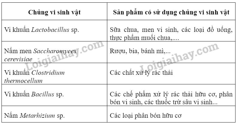 Sinh học 10 Bài 26: Công nghệ vi sinh vật | Giải Sinh 10 Chân trời sáng tạo (ảnh 5)