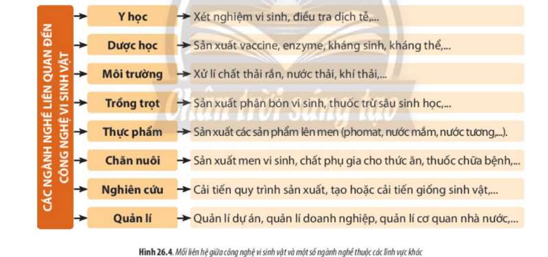 Lý thuyết Sinh học 10 Bài 26 (Chân trời sáng tạo): Công nghệ vi sinh vật (ảnh 7)