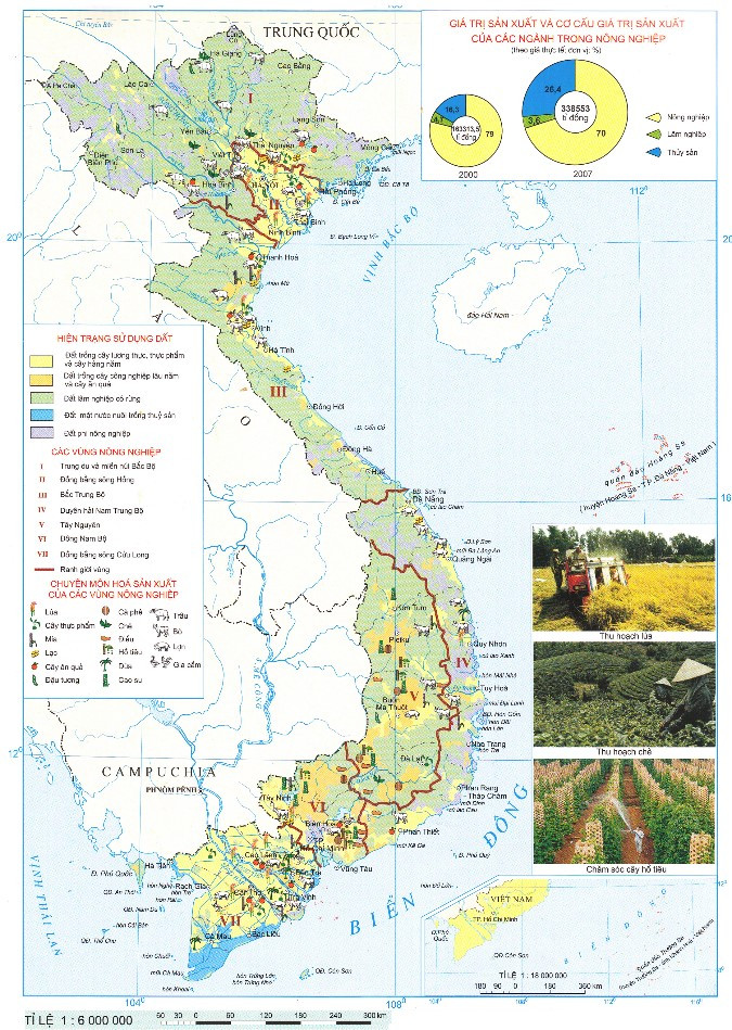 Lý thuyết Địa lí 10 Bài 26: Tổ chức lãnh thổ nông nghiệp, một số vấn đề phát triển nông nghiệp hiện đại trên thế giới và định hướng phát triển nông nghiệp trong tương lai - Kết nối tri thức  (ảnh 1)