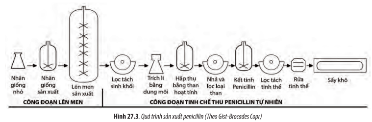 Sinh học 10 Bài 27: Ứng dụng vi sinh vật trong thực tiễn | Giải Sinh 10 Chân trời sáng tạo (ảnh 2)