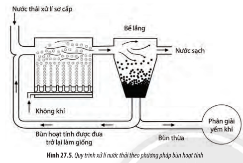 Sinh học 10 Bài 27: Ứng dụng vi sinh vật trong thực tiễn | Giải Sinh 10 Chân trời sáng tạo (ảnh 3)