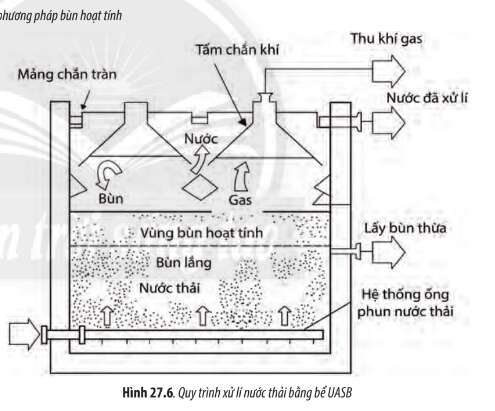 Sinh học 10 Bài 27: Ứng dụng vi sinh vật trong thực tiễn | Giải Sinh 10 Chân trời sáng tạo (ảnh 4)