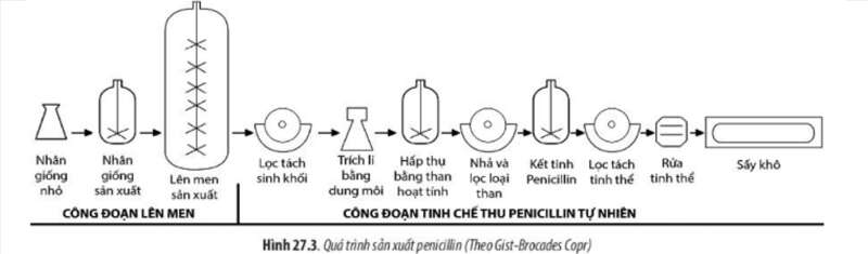 Lý thuyết Sinh học 10 Bài 27 (Chân trời sáng tạo): Ứng dụng vi sinh vật trong thực tiễn (ảnh 4)