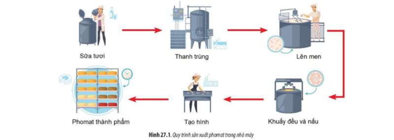 Lý thuyết Sinh học 10 Bài 27 (Chân trời sáng tạo): Ứng dụng vi sinh vật trong thực tiễn (ảnh 2)