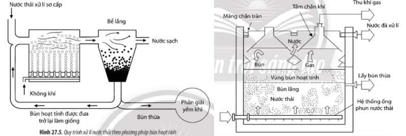 Lý thuyết Sinh học 10 Bài 27 (Chân trời sáng tạo): Ứng dụng vi sinh vật trong thực tiễn (ảnh 6)