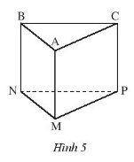 Sách bài tập Toán 7 Bài 3: Hình lăng trụ đứng tam giác. Hình lăng trụ đứng tứ giác - Chân trời sáng tạo (ảnh 1)