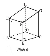 Sách bài tập Toán 7 Bài 3: Hình lăng trụ đứng tam giác. Hình lăng trụ đứng tứ giác - Chân trời sáng tạo (ảnh 1)