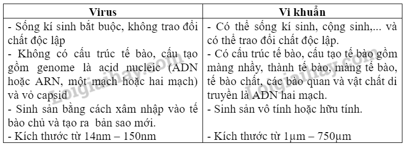 Sinh học 10 Bài 29: Virus | Giải Sinh 10 Chân trời sáng tạo (ảnh 2)