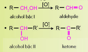  (ảnh 3)