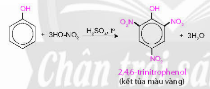  (ảnh 3)