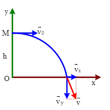 Các bài tập ném ngang (ảnh 4)