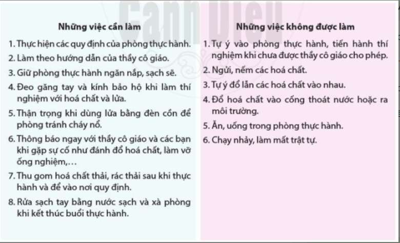 Vật Lí 10 Bài 2: Vấn đề an toàn trong Vật lí | Giải Lí 10 Chân trời sáng tạo (ảnh 4)