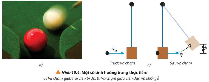 Vật Lí 10 Bài 19: Các loại va chạm | Giải Lí 10 Chân trời sáng tạo (ảnh 3)