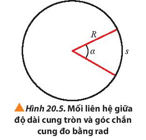 Vật Lí 10 Bài 20: Động học của chuyển động tròn | Giải Lí 10 Chân trời sáng tạo (ảnh 3)